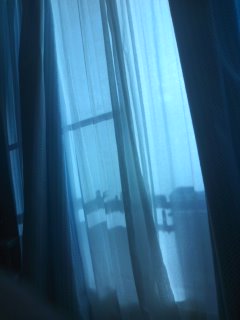 �����Ă��邱�Ƃ����x��