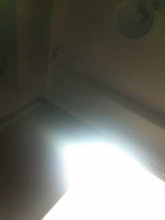 �����̑I��