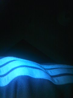 �q��S�͊C�ɒ����