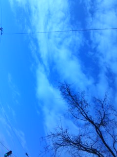 ���t���C��