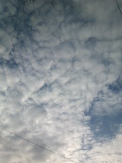 �����A�Ƃ������t