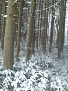 �������B