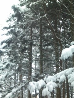 �����Ă�