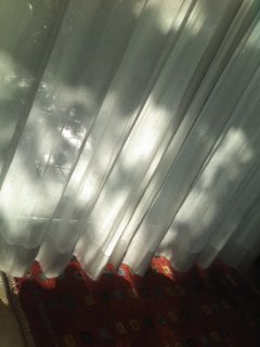 ���Ă������