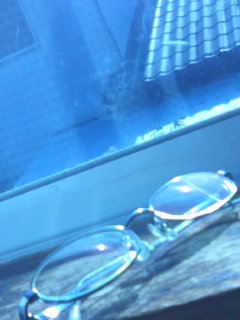 �N��m��Ȃ���