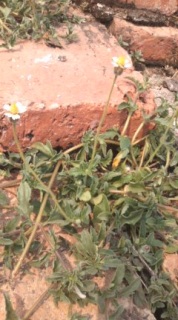 �������܁I