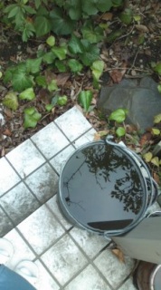 ������ł��Ȃ�