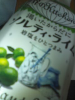 ����ł݂���