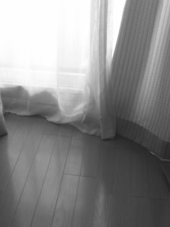 �₵��������Ȃ�