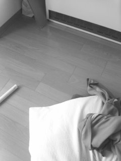 �������̂Ђ�