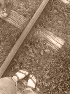 ������ӂ��߁I