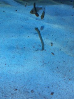 ��������C��