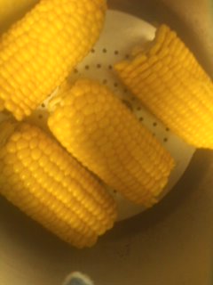 �Ƃ����낱��