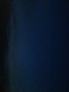 ���v���Ԃ�ł�