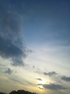 �������邽�߂̋���������