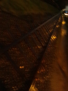 ��̂Ђ�̌Ǔ�