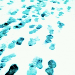 �������Ƃ���