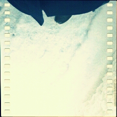 �J��������̍�