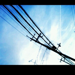 �l���N�Ɏ��L�΂��Ă������A���R��T����