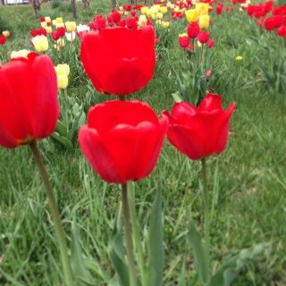 ���A��B