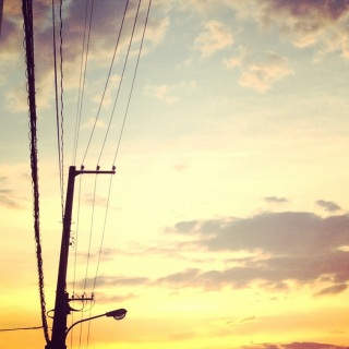 ���̏�ɏZ��ł���