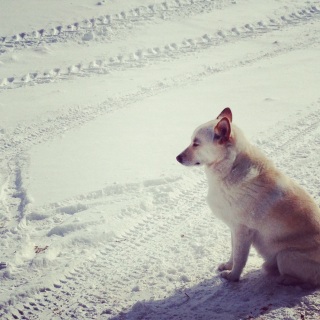 �[�Ă����Y��Ɍ������ꏊ��