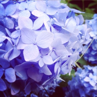 �����̍ݏ�