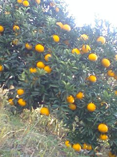 ������