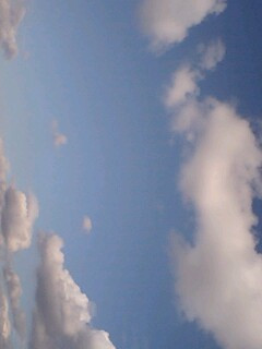 �����N�̖��̑O��