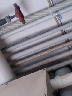 �N�ɓn���i��