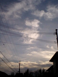 �������ł���