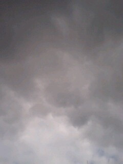 �Ō�̐͖l���H�ׂ�