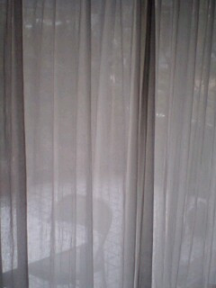 �����Ėl�͐��E�łЂƂ�ɂȂ�