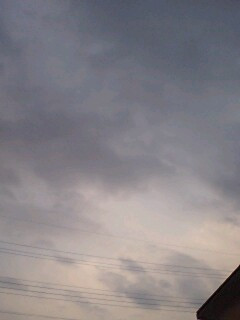 �ŋ߉J����������