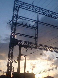 �D�ɂȂ낤 ����