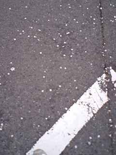 ������������� ����Ȃ�̐�