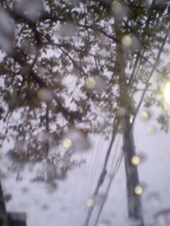 ���������A���̂Ƃ���