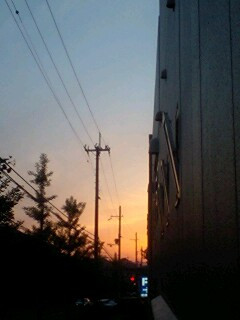 �ǂ��ɂ���̂Ɩl�͖���