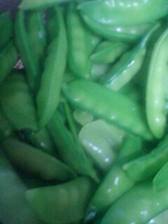 ���������ʂĂ�