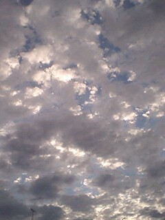 �ڂ��͓����Ă�