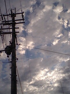 �w�؂肵������