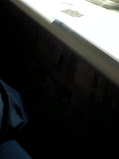 ���̂Ă̂Ђ炪�~����