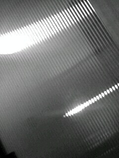 �����w��