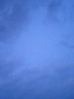 ���߂ǂ��B