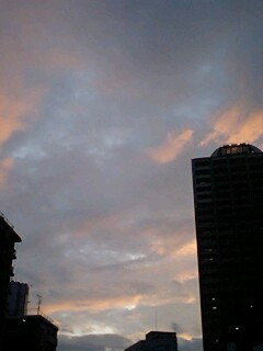 �T���ɍs���� �l�̒���