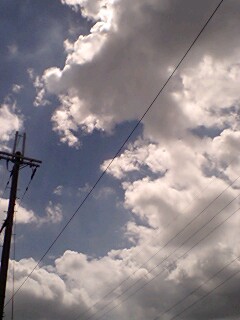 �ڂ������͂��₩�ɊD�ɂȂ�