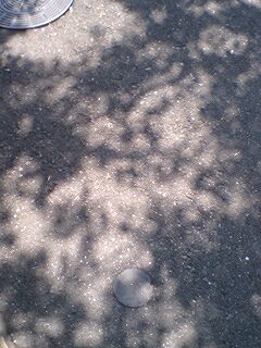 �����疰�邩�� �N�̖��������Ă�