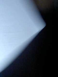 ���߂�Փ��̐F��m���Ă���