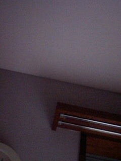 �����̔w��