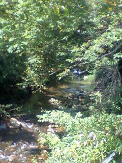 ��������!